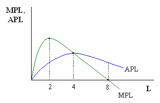 average product of labor